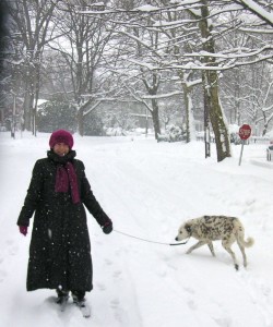An abundance of snow, and a white dog. 